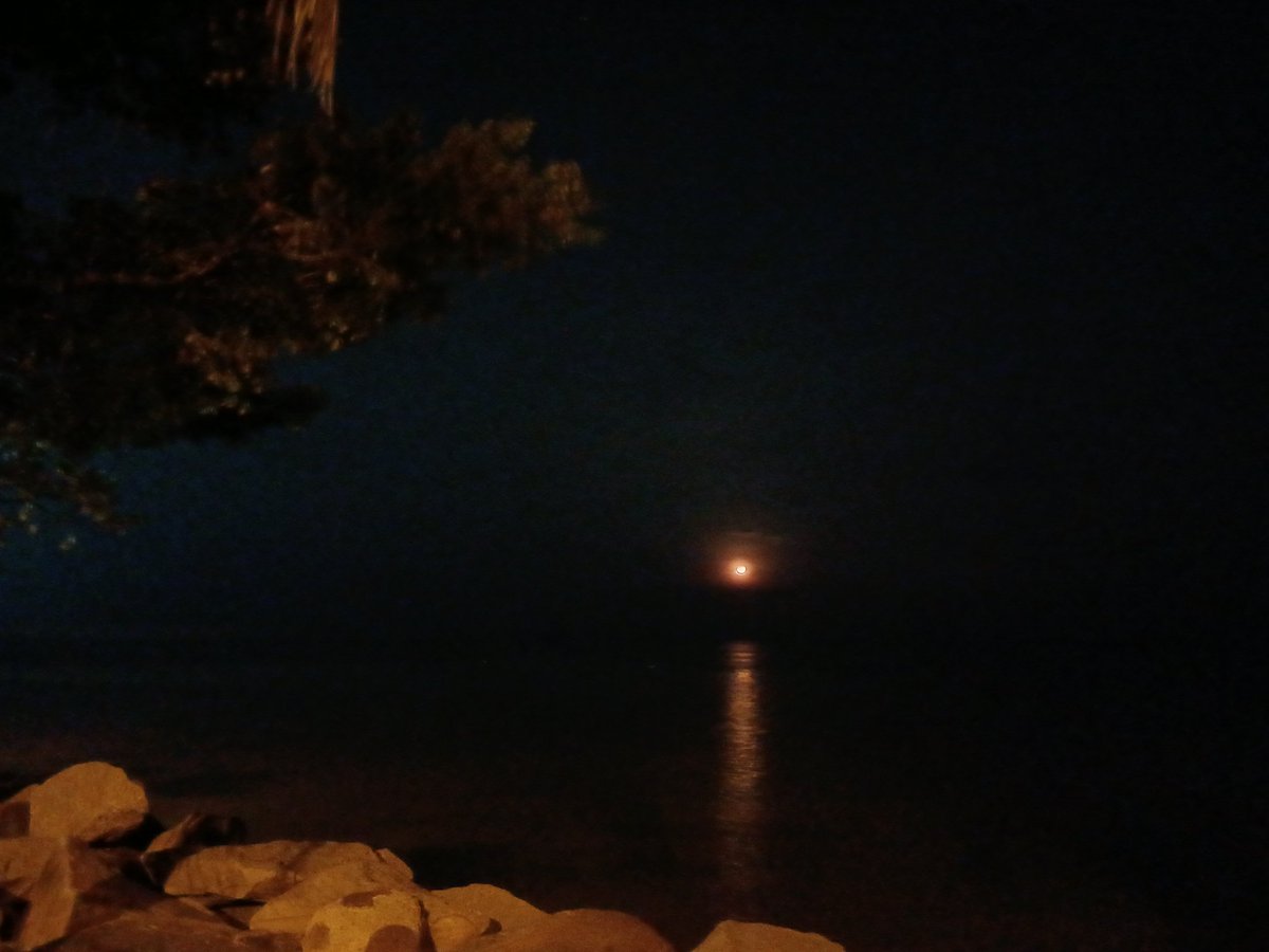 arell🪐 tweet media