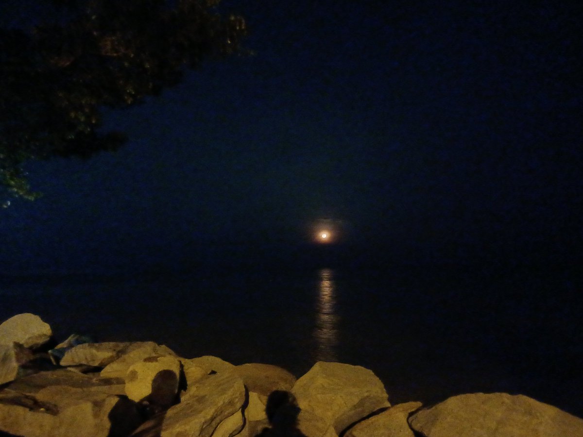 arell🪐 tweet media