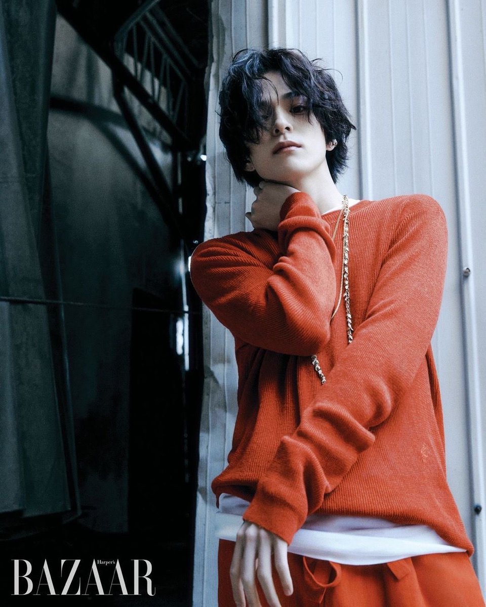 ベクター tweet media