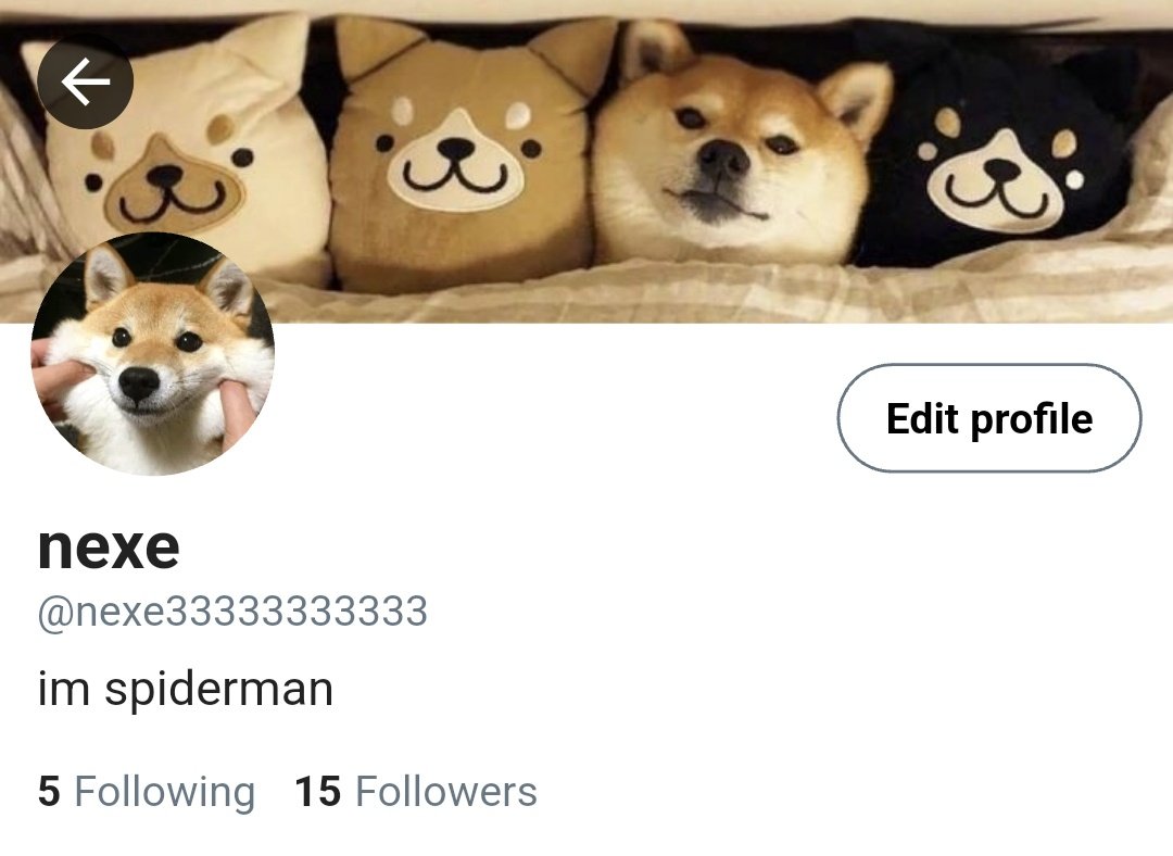 Rotling | 🦴 tweet media