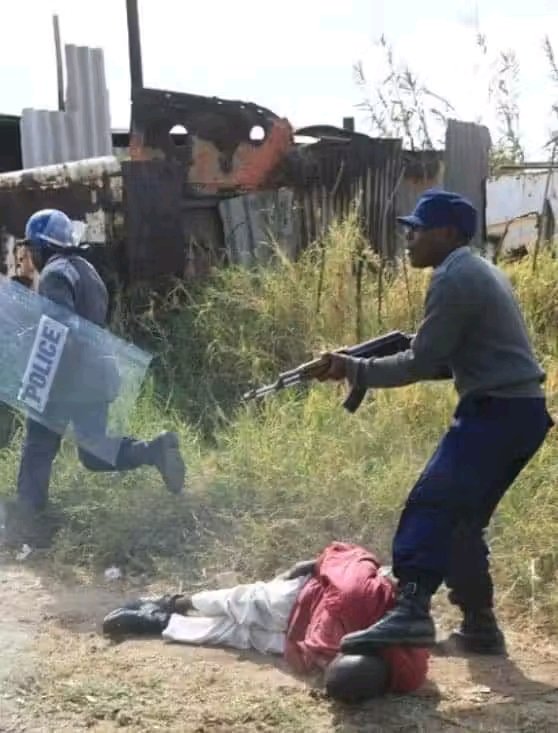 Nhamodzenyika Tururu Tumbare tweet media