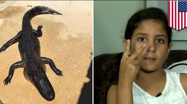 In Orlando, a ten year old girl, Juliana Ossa,  survived an alligator attack by blocking its nostrils , a survival trick she reportedly says she learned from watching wildlife shows on TV.