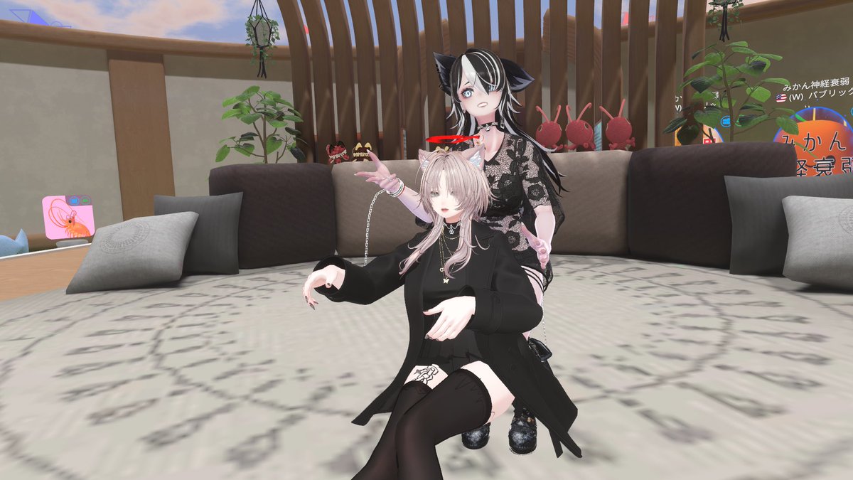 えね猫/poniponineko tweet media