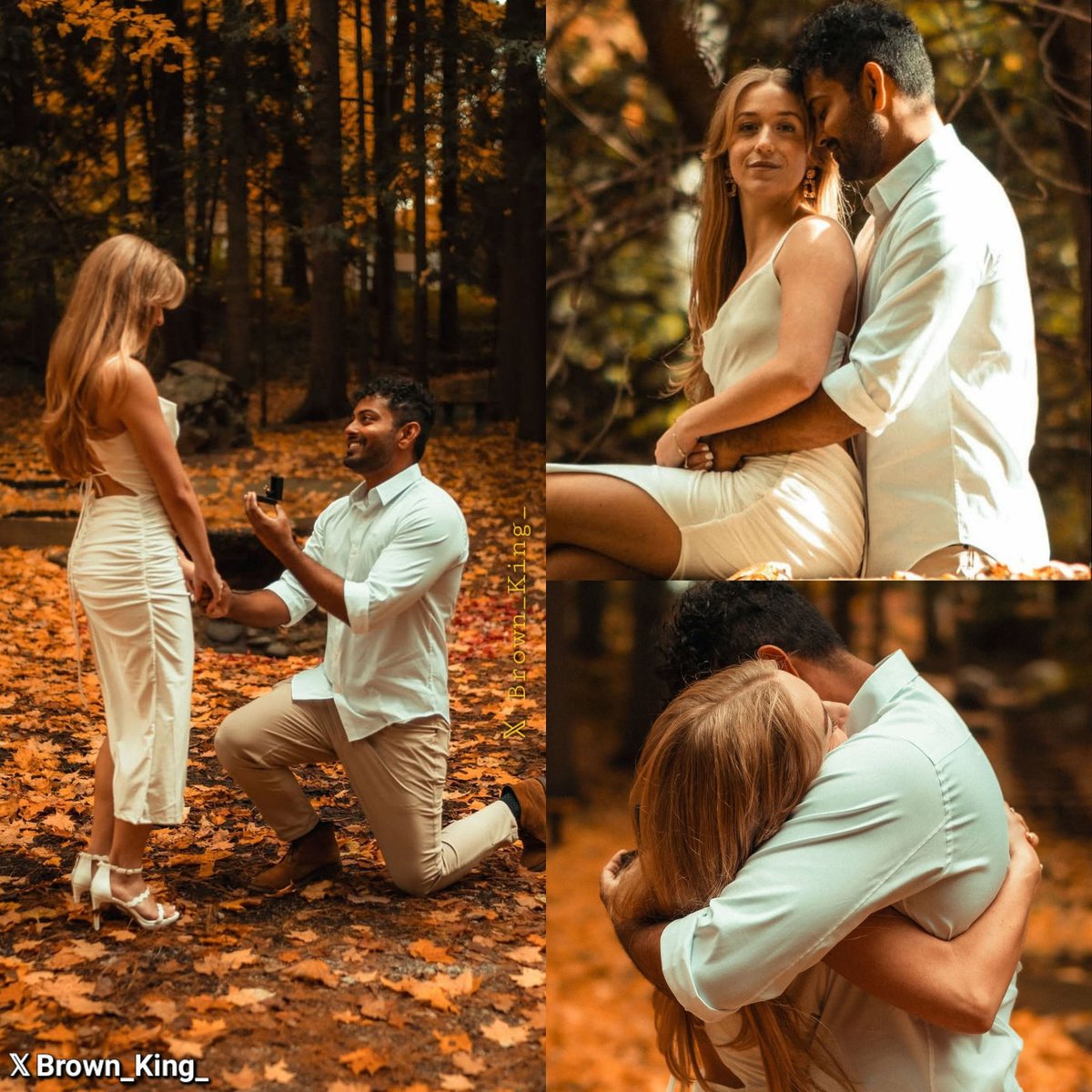 Brown King 🦁 tweet media