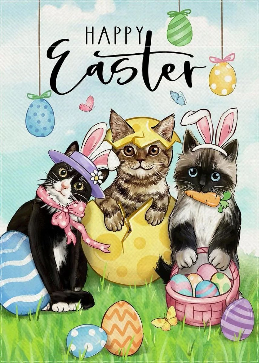 sally solihull tweet media