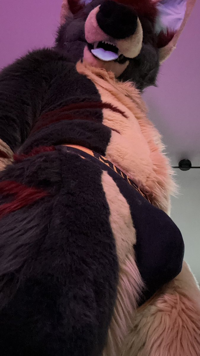 𝐵𝒾𝑔 𝒩𝑒𝓇𝑜 tweet media