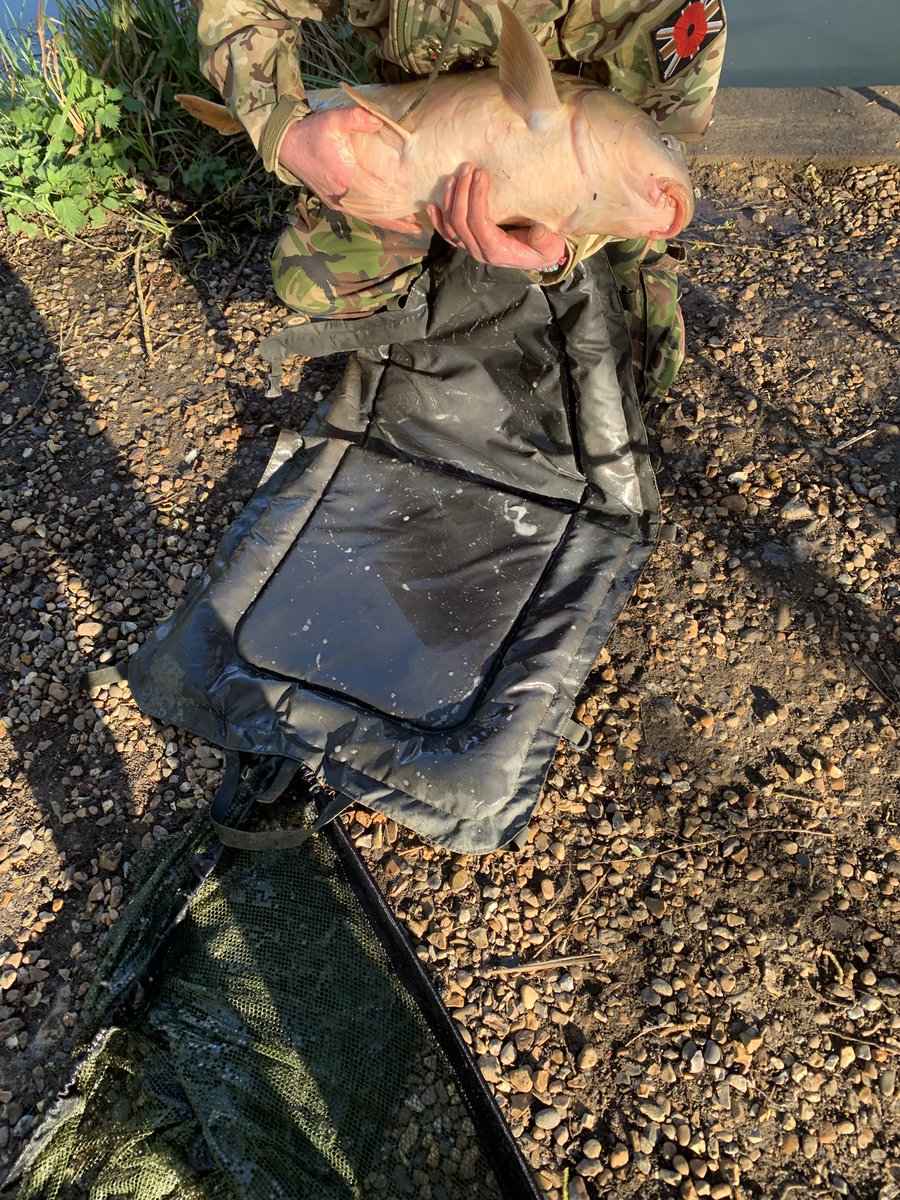 Kirk Whitham tweet media