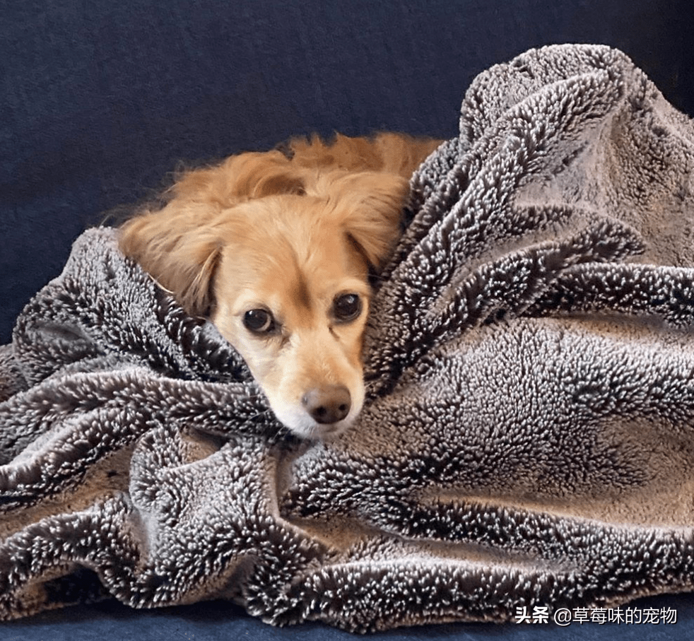 Regina K tweet media