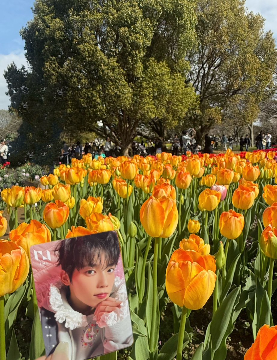 ﾆｬﾝ tweet media