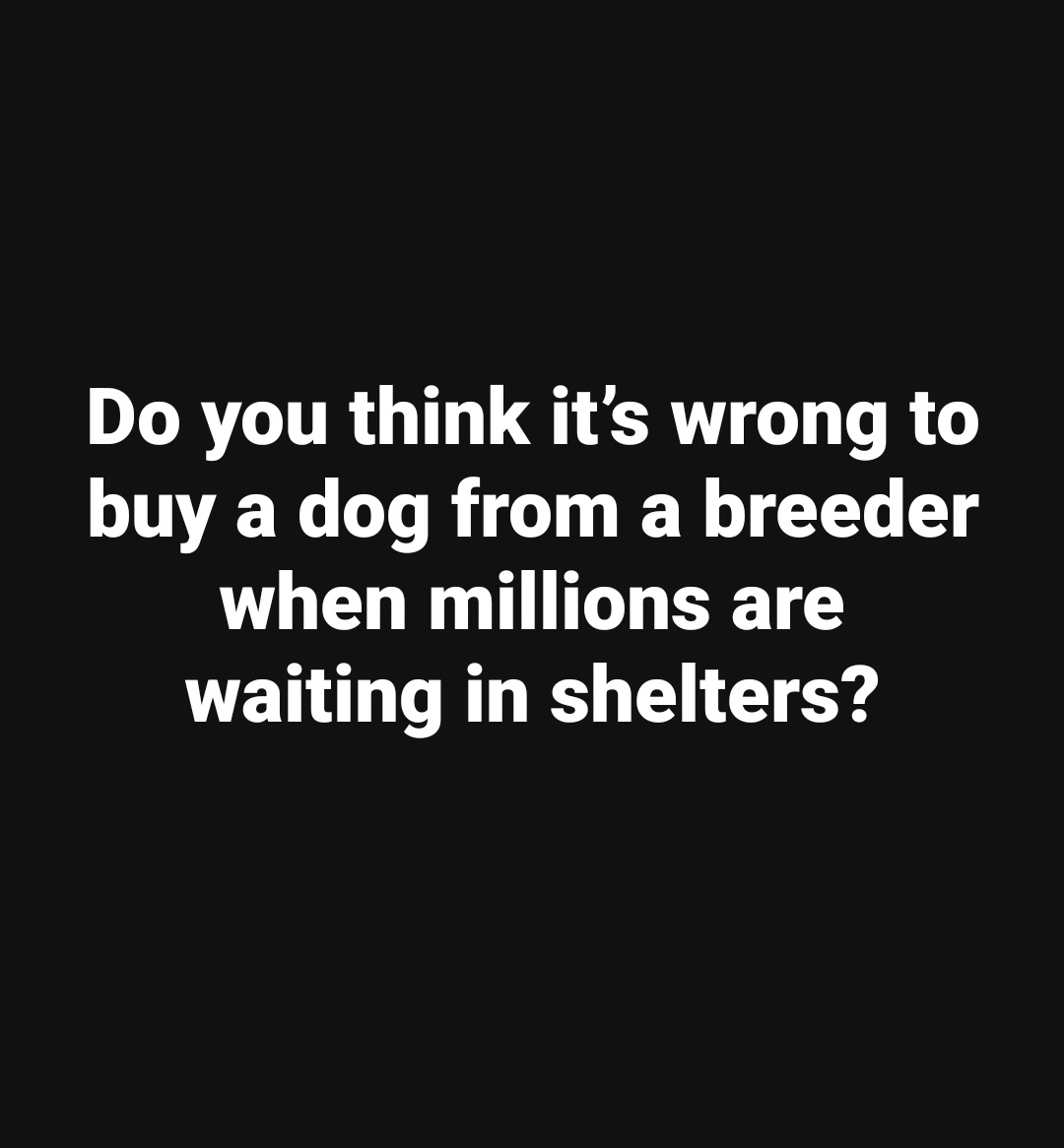 Elizabeth❣️ tweet media