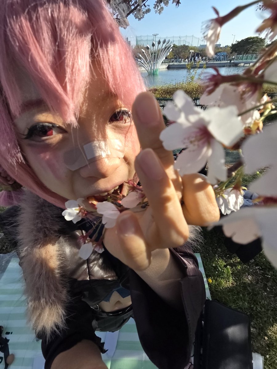 우와와 tweet media