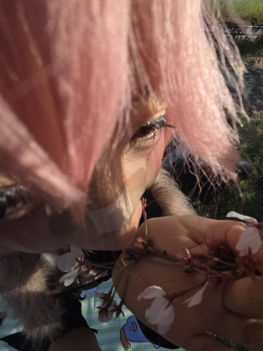 우와와 tweet media