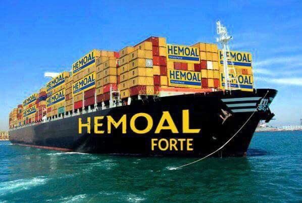 🎙 𝗗𝗮𝘃𝗶𝗱 𝗦𝗮́𝗻𝗰𝗵𝗲𝘇 tweet media