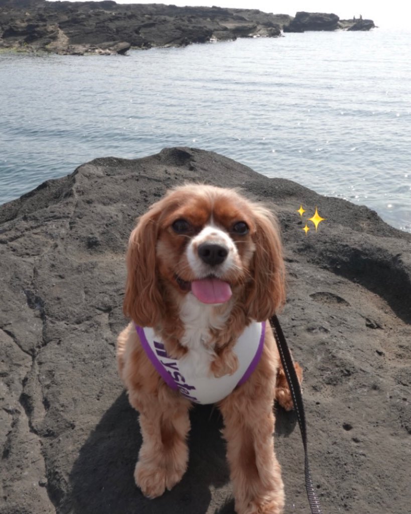 (≡＞ω＜≡)💕 tweet media