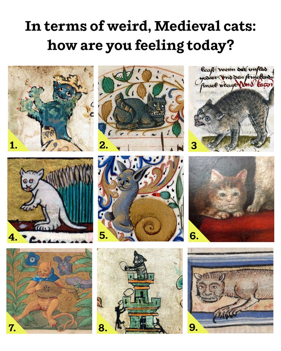 Doubleday tweet media