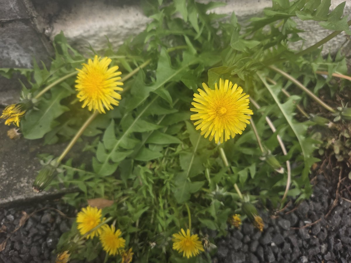 なぁちゃん tweet media