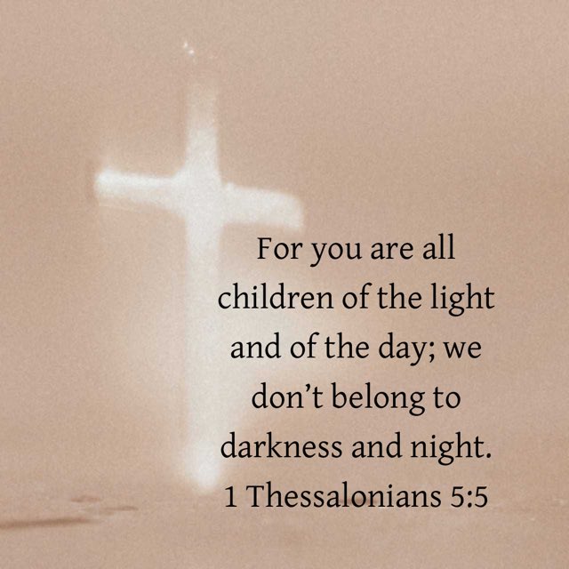 🥎 MIKE SMITH 🥎 tweet media