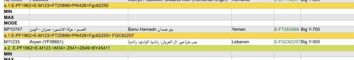 مجموعة نتائج همدانية وجدتها في مشروع النتوفيين E-M84

#شتات_همداني