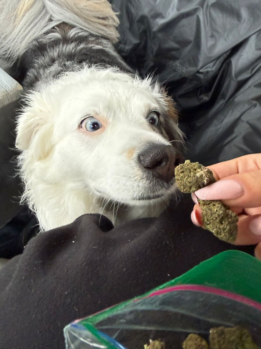 nax 🫧 tweet media