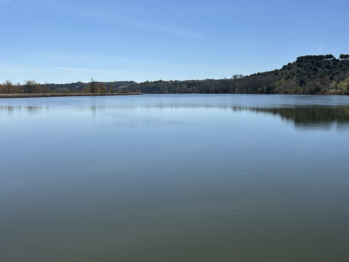 César G 💜 🤍 💜 Yo tmb soy de Valladolid tweet media