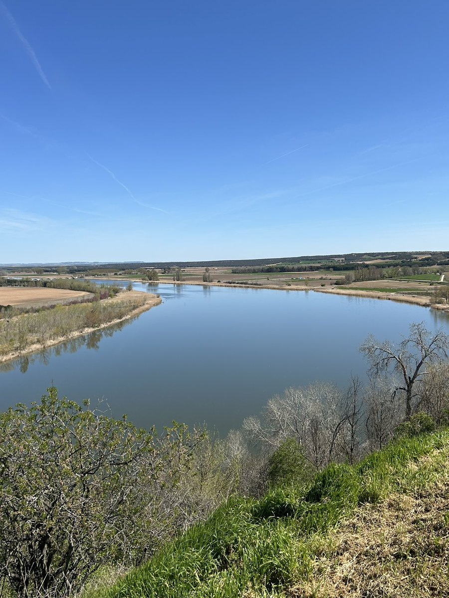César G 💜 🤍 💜 Yo tmb soy de Valladolid tweet media