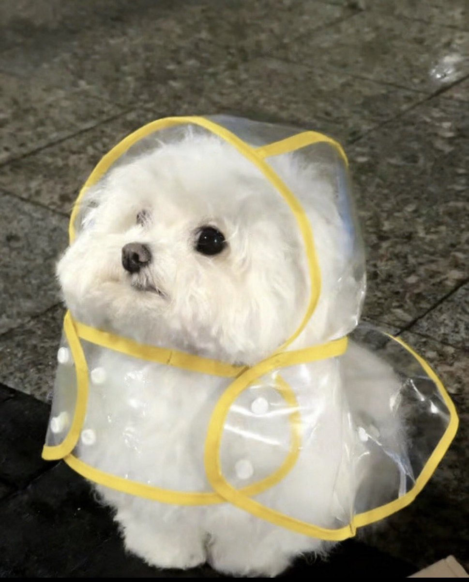 ˚ ༘ LingOrm Peach ೀ⋆。˚ tweet media