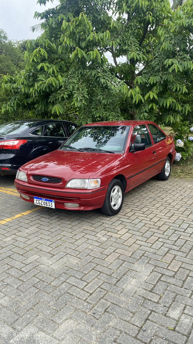 ⋆˚౨cerejaৎ ⋆.˚ tweet media