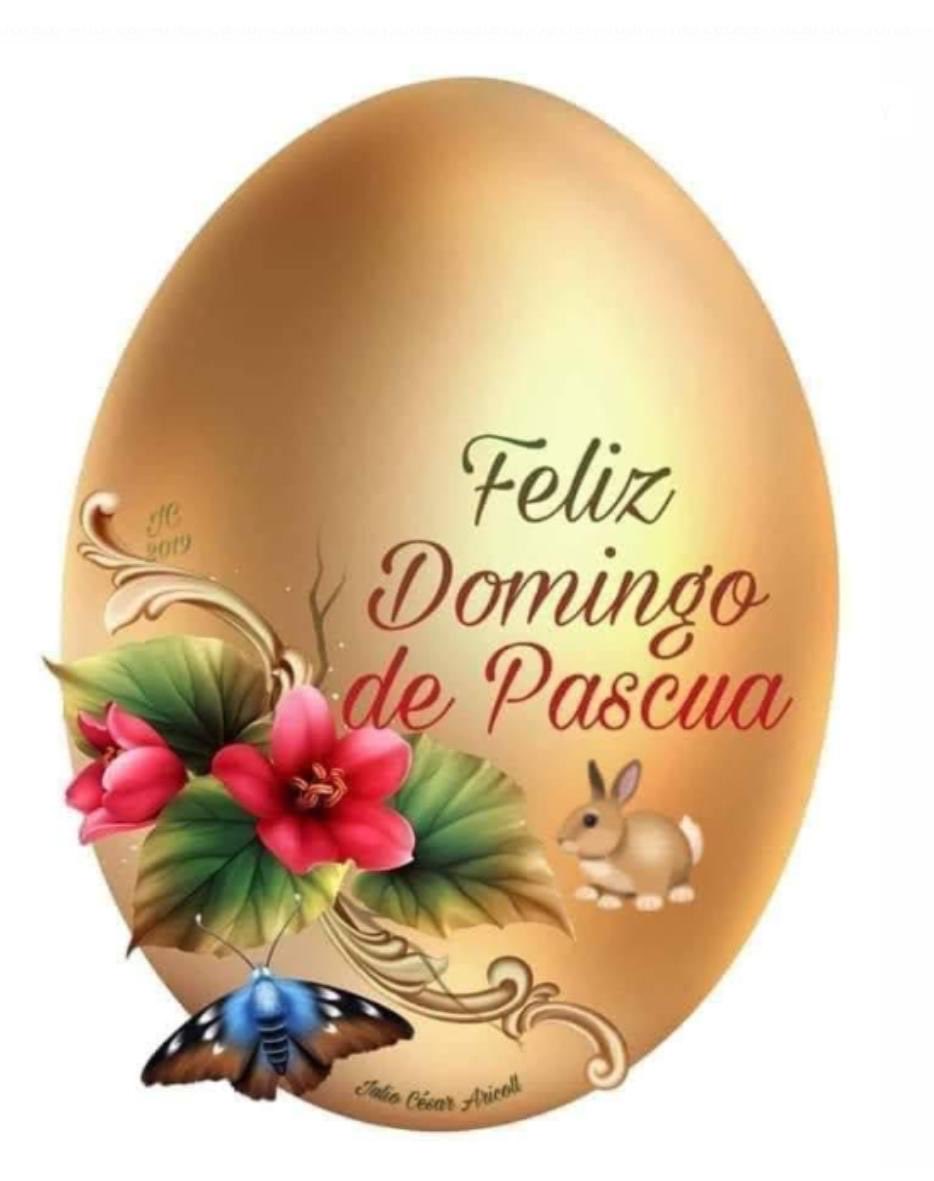 reymon🇦🇷💙💛💙🇦🇷 tweet media