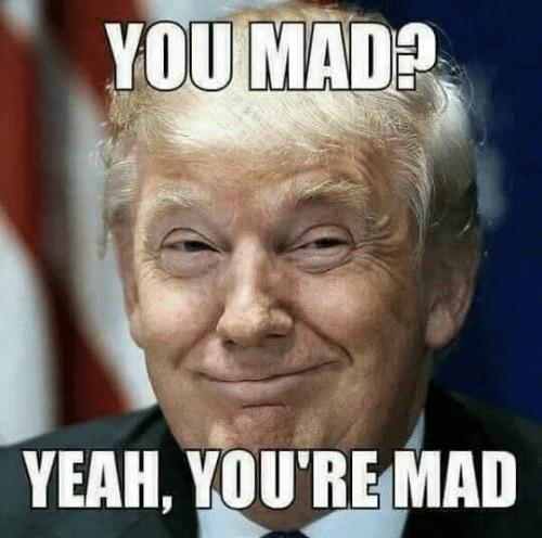 Ditkaaaaaaa tweet media