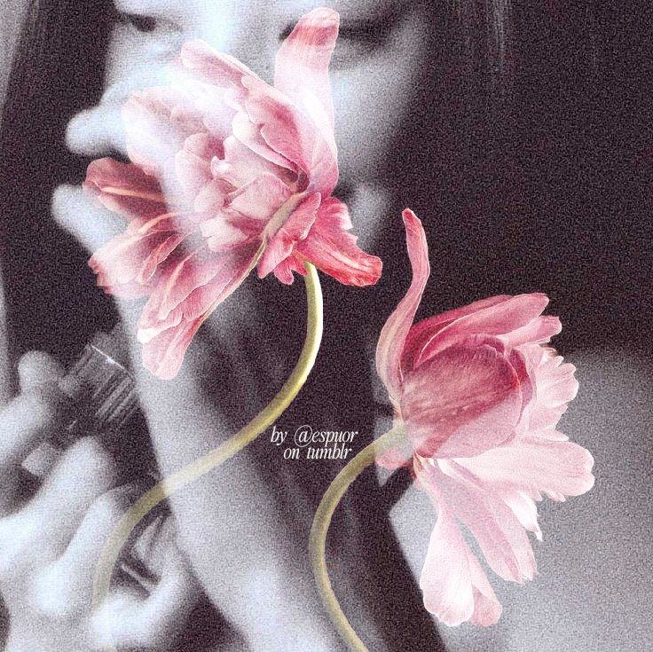 memel 💻 tweet media