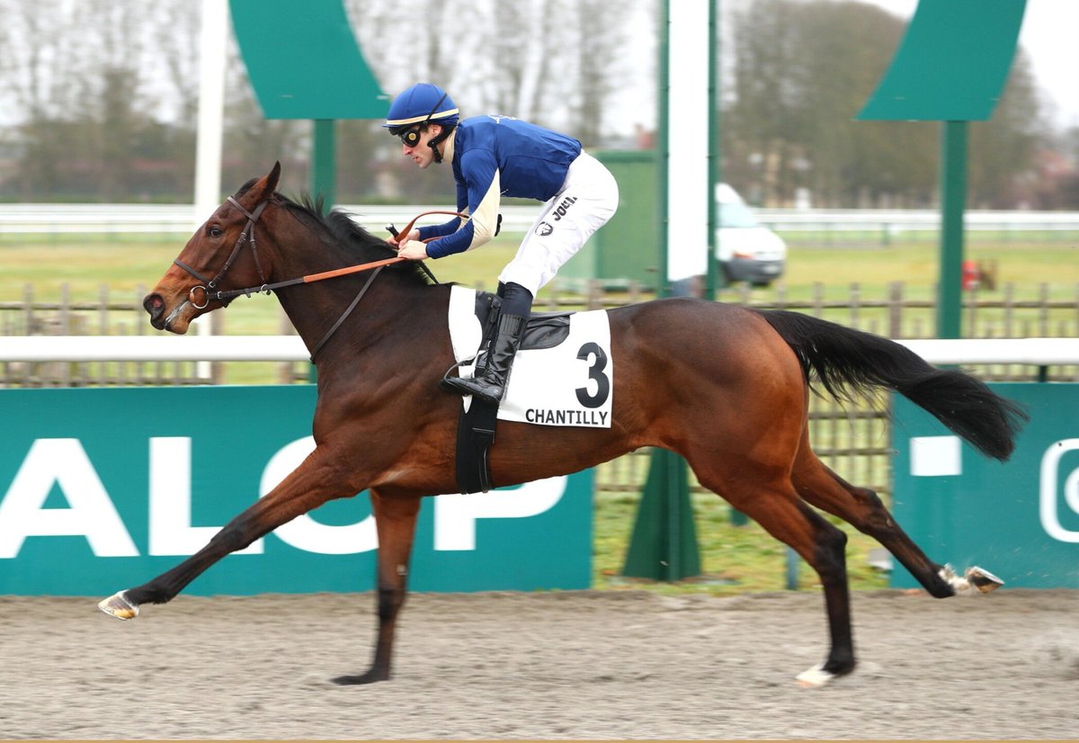 BleuBallymore's tweet photo. 🥂 G3 winner for PERSIAN KING 👑

🏆 CONCORDE AGREEMENT, 3yo filly by @Haras_d_Etreham PERSIAN KING from LA CONCORDE, wins the G3 Prix Vanteaux at @paris_longchamp, trained by Pierre Groualle

Unbeaten in 2️⃣ races 

🗣 Sold by @HarasCapucines to @haguybms at @InfoArqana https://t.co/ftm7TD4oom
