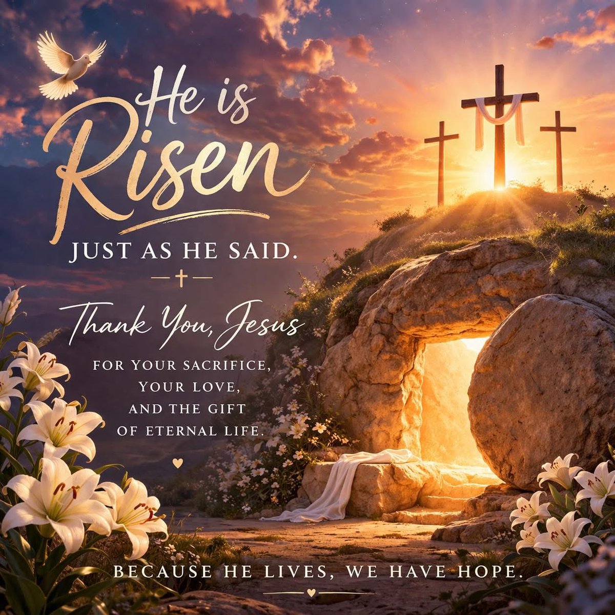 HCA de SA tweet media