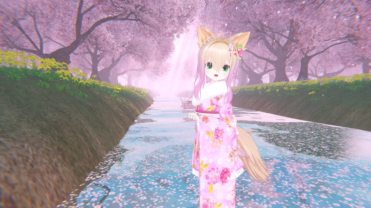 セフィ tweet media