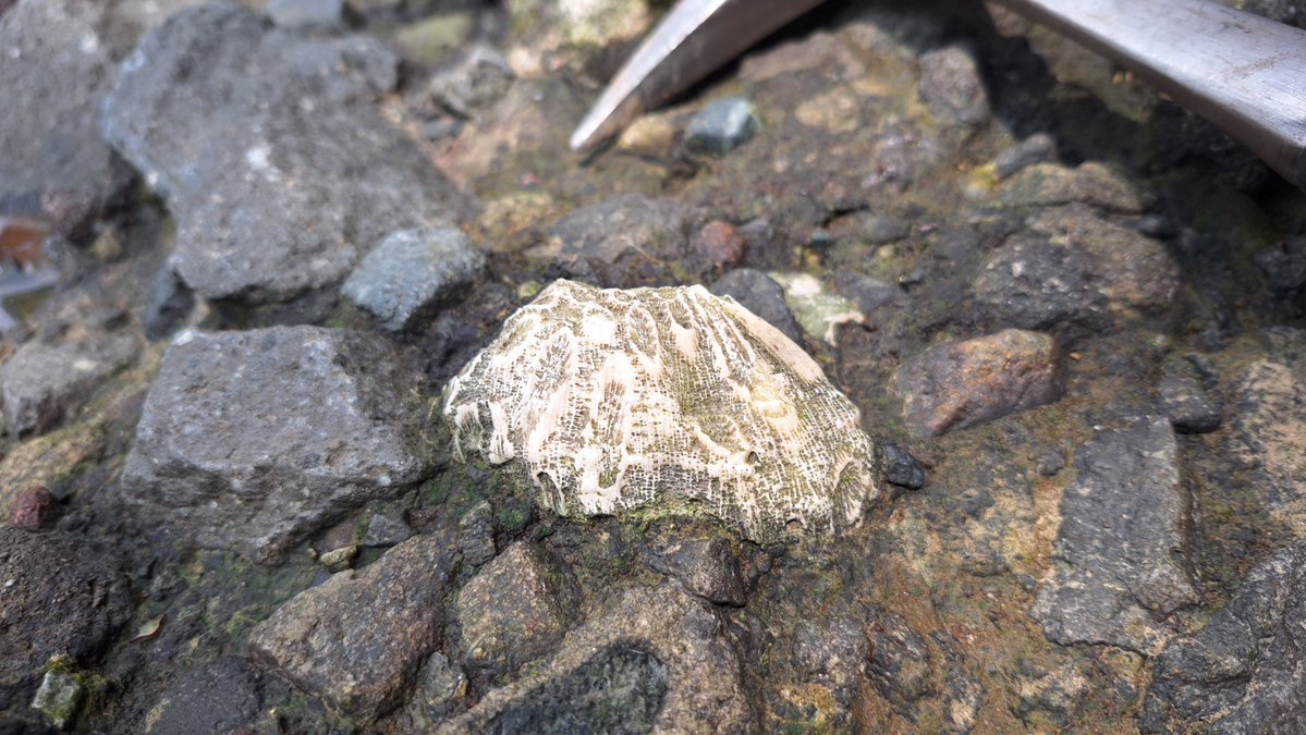 INFOMITIGASI tweet media