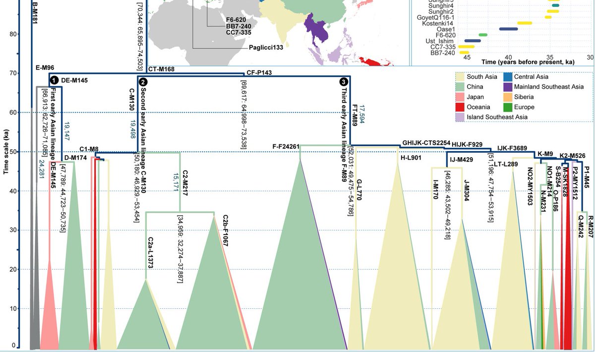 طلال tweet media