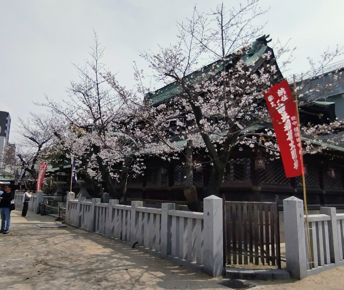 くるくるコミック よね皮ホホ骨 tweet media