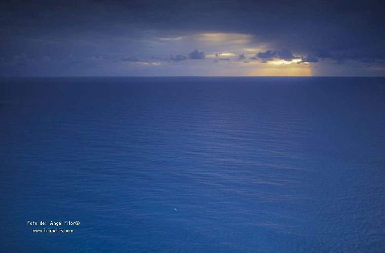 Concha Rodríguez tweet media