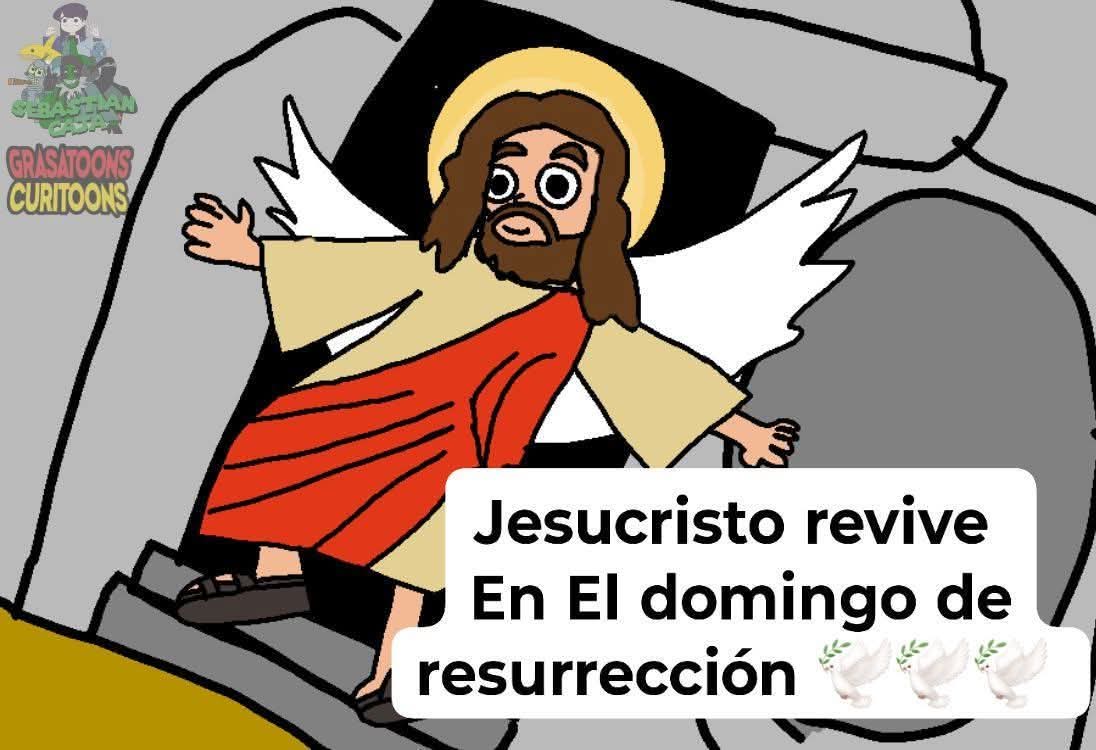 Moon Night Flores tweet media