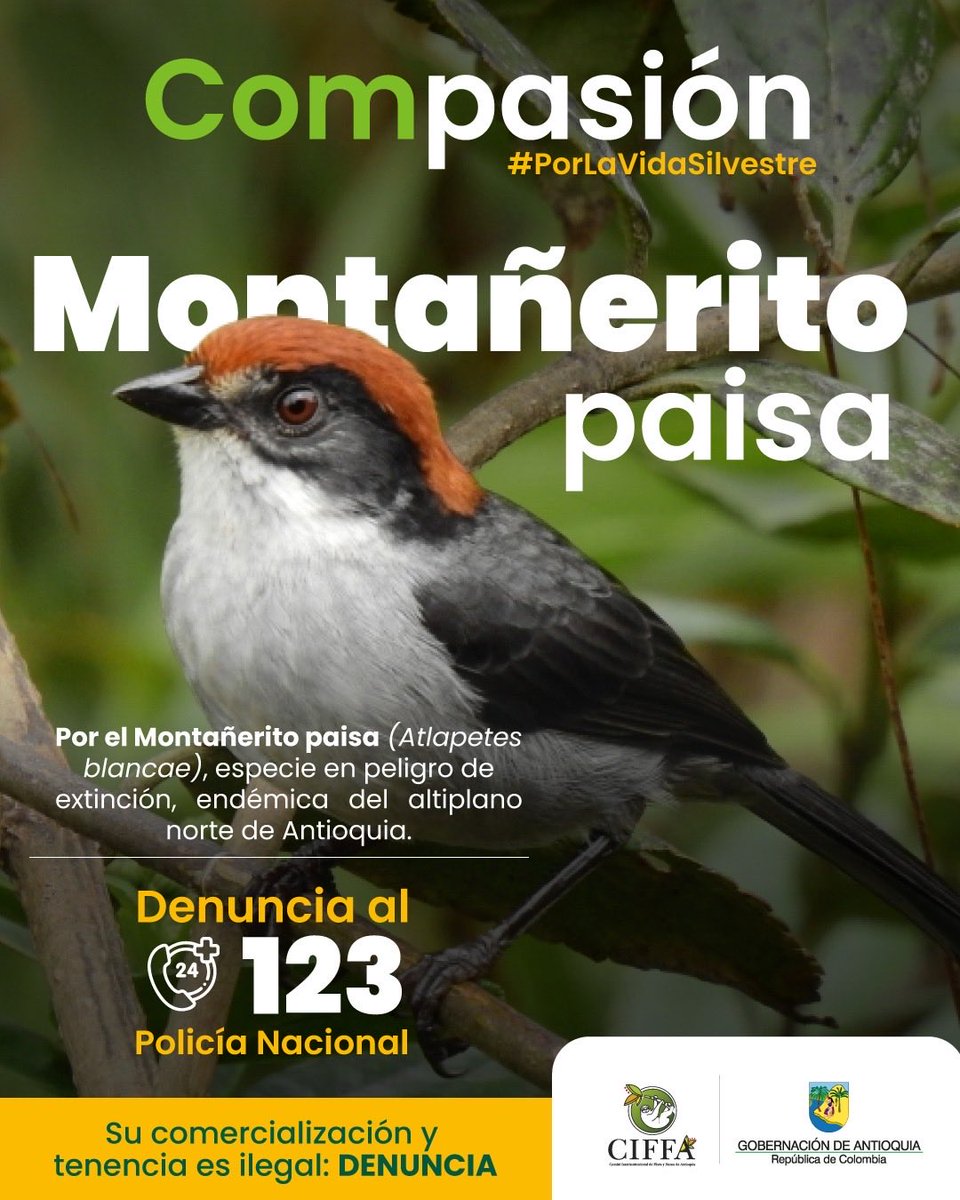 Secretaría de Ambiente tweet media