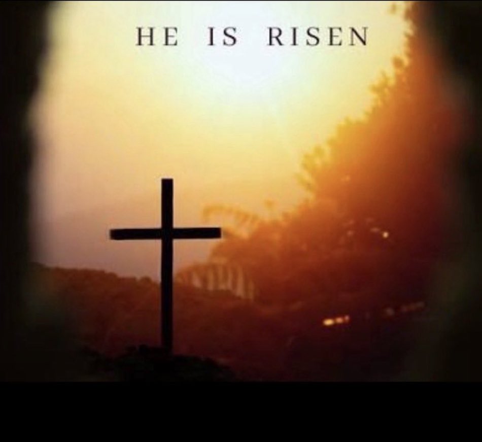 Austin Bechtold tweet media