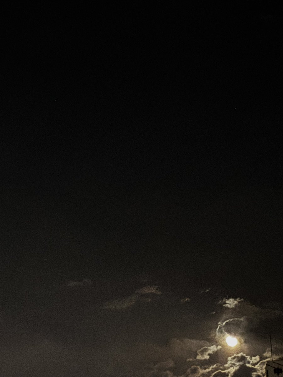 ネコみ tweet media