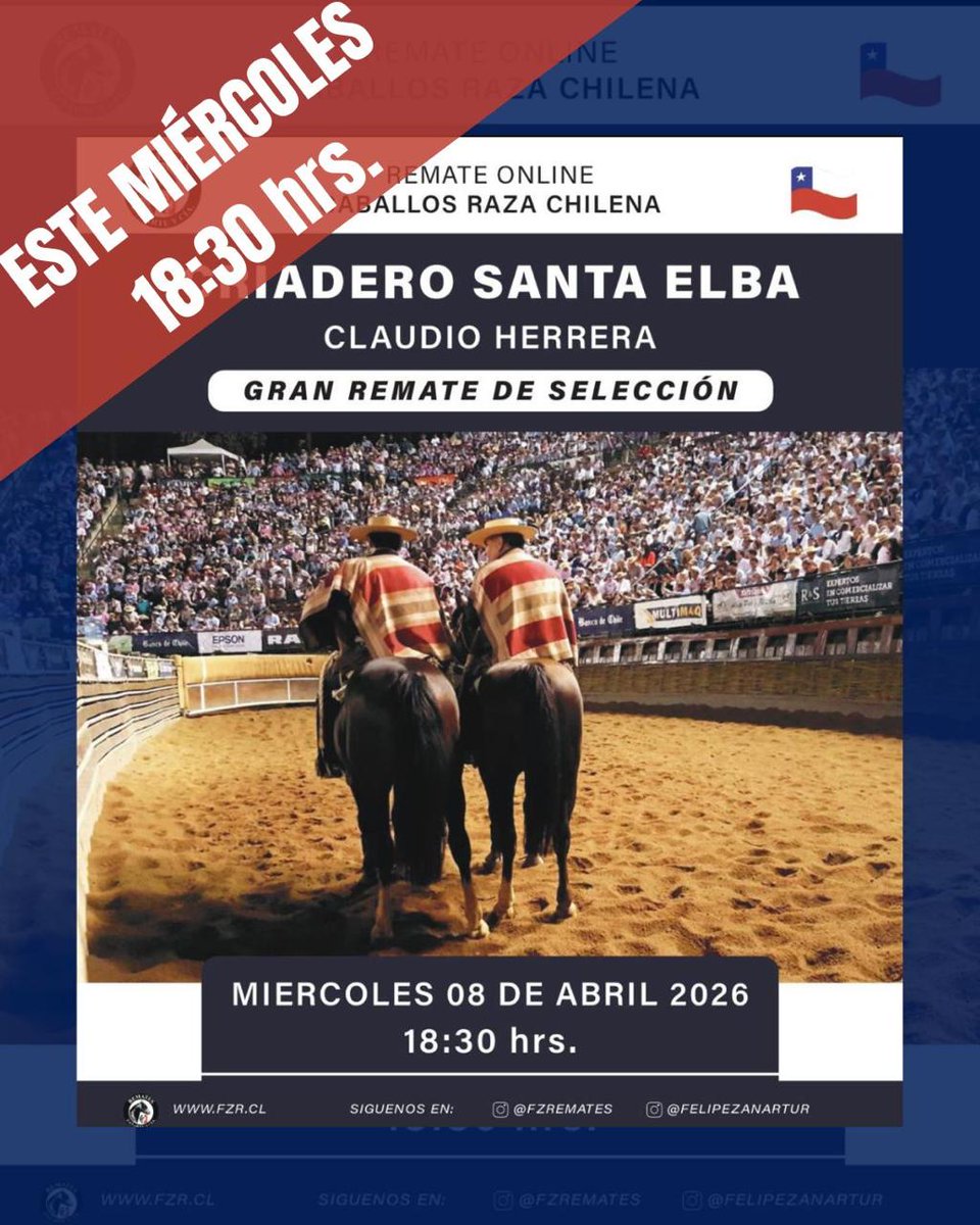 Remates Fernando Zañartu Rozas y Cía. Ltda - CHILE tweet media