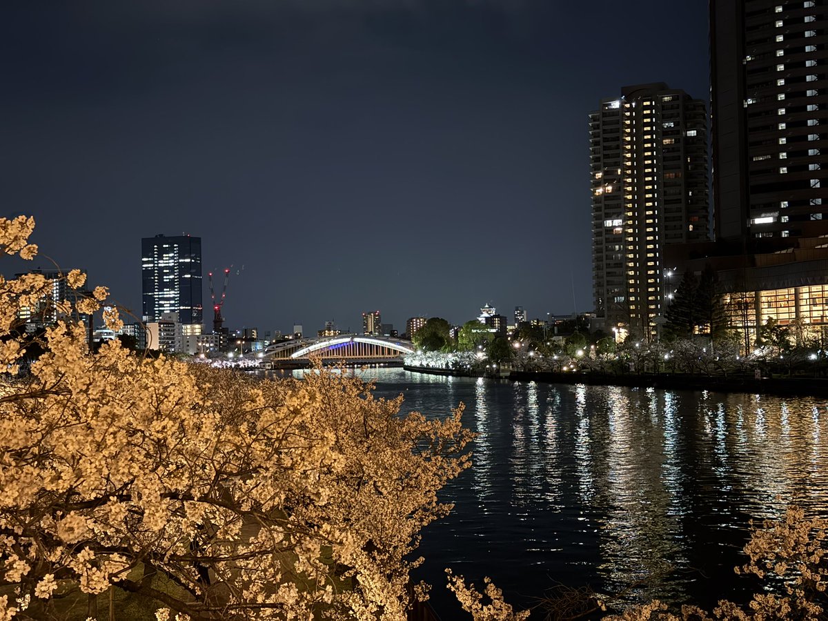 Splatetsudou's tweet photo. 夜桜🌸 https://t.co/QwQHEpr2pp
