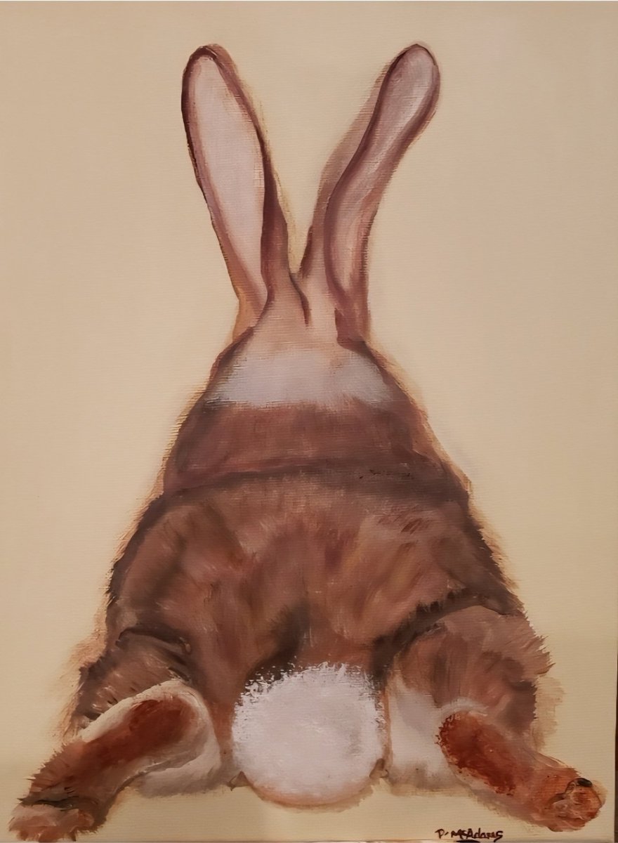 Donna McAdams tweet media