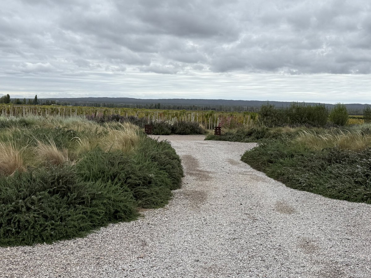 Martin Litwak tweet media