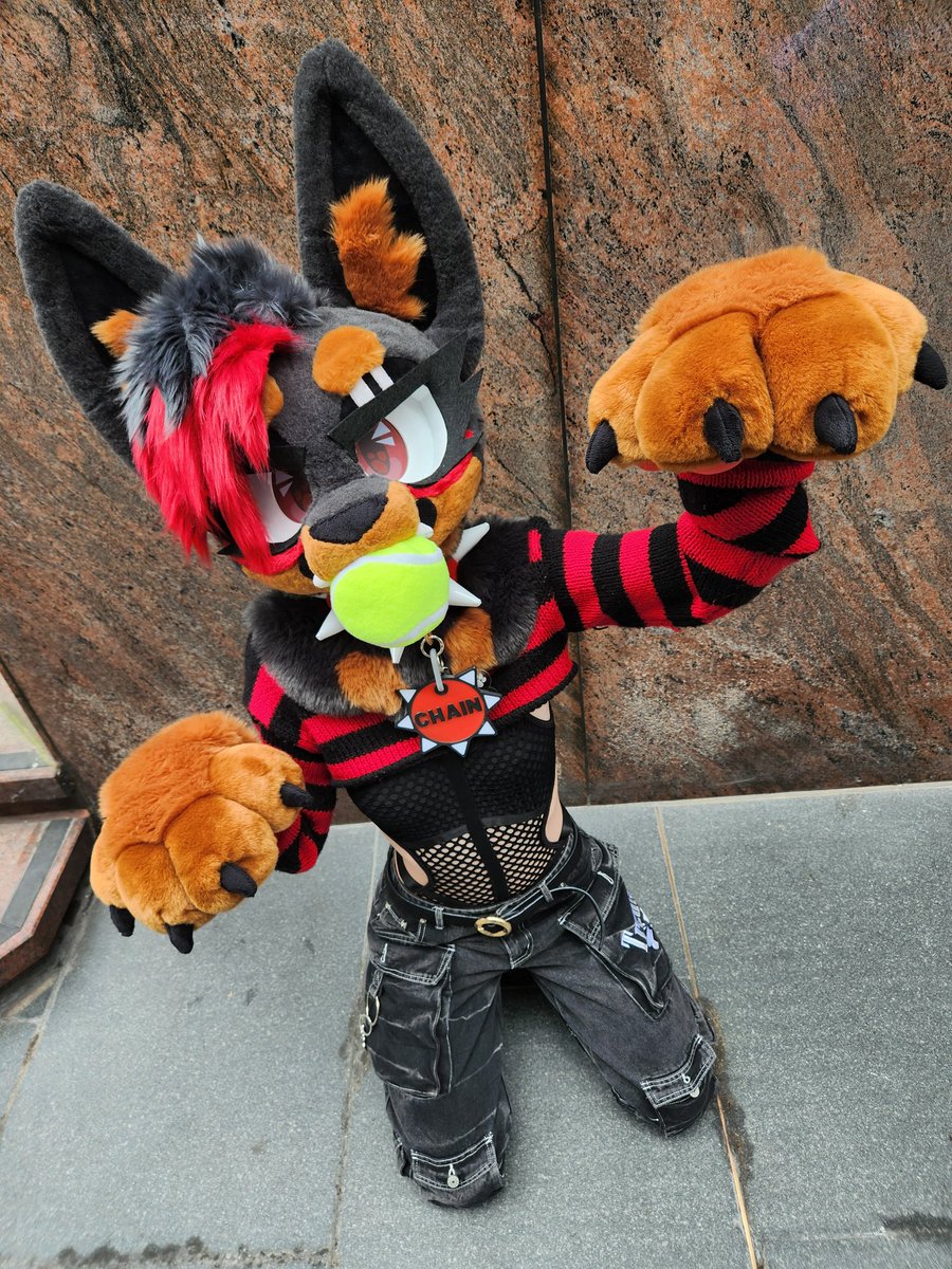 🖤Mutt🖤🔜CFZ tweet media