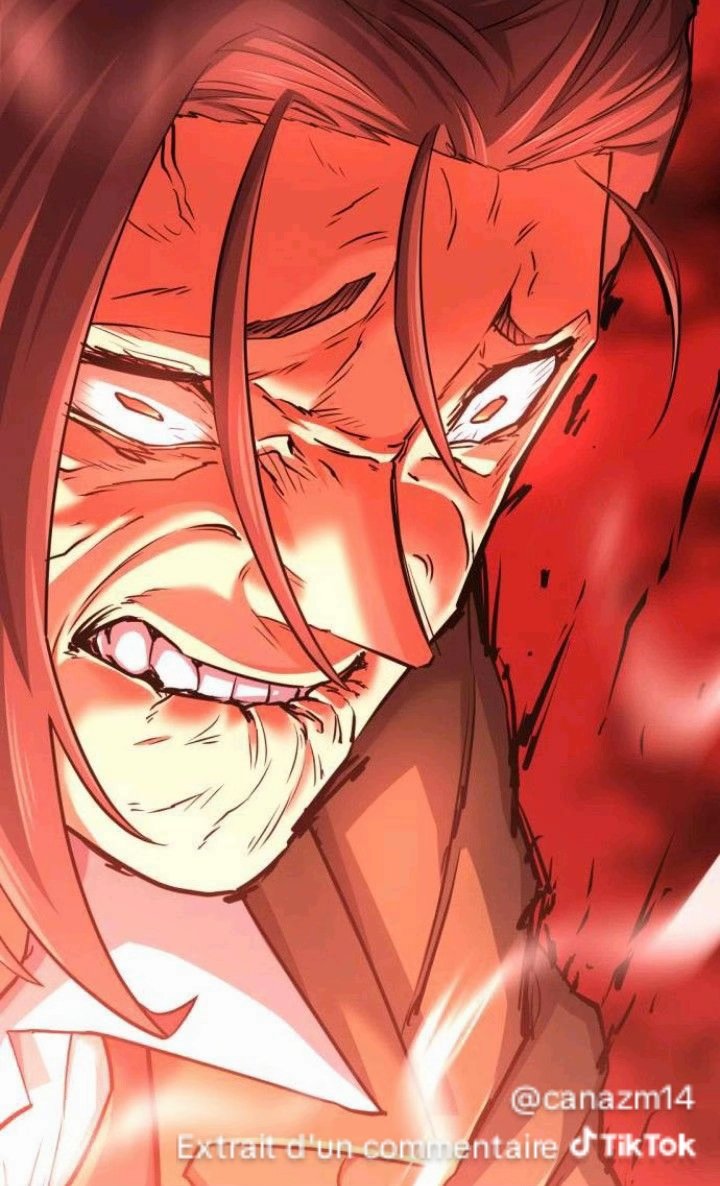 Mangas Fans tweet media
