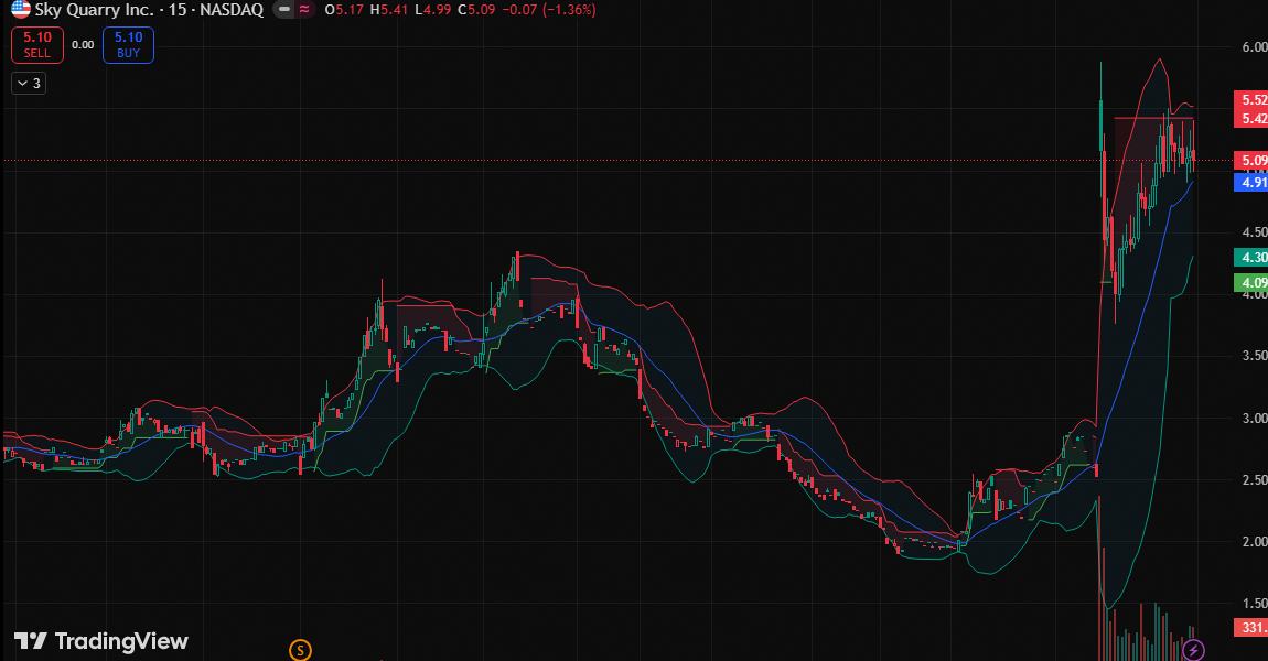 Daniel Martinez ✨ 🔥 tweet media