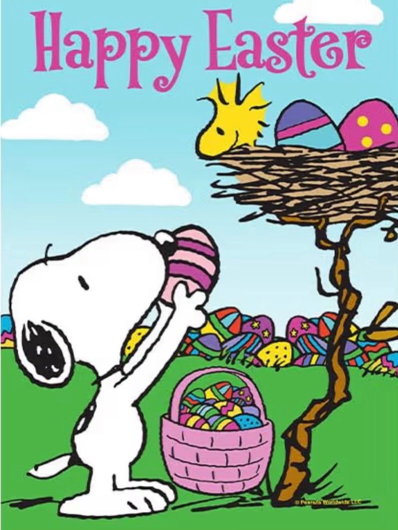 amber moots tweet media