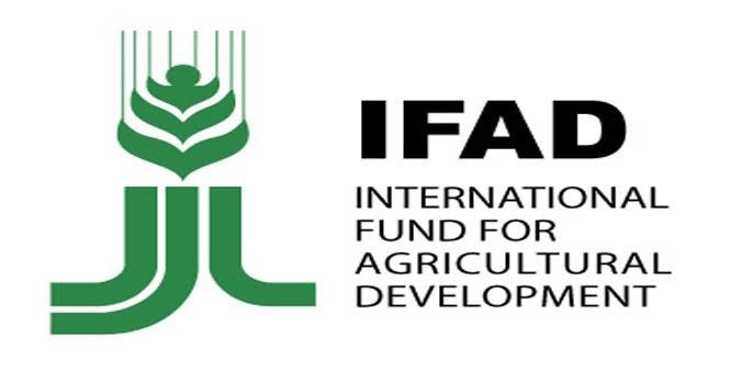 IFAD Paid Internship Programme 2026 is OPEN - Apply Now

The International Fund for Agricultural Development (IFAD) is offering a paid internship for students and recent graduates to gain experience in global development.

Benefits
– Monthly stipend + housing/travel support
–